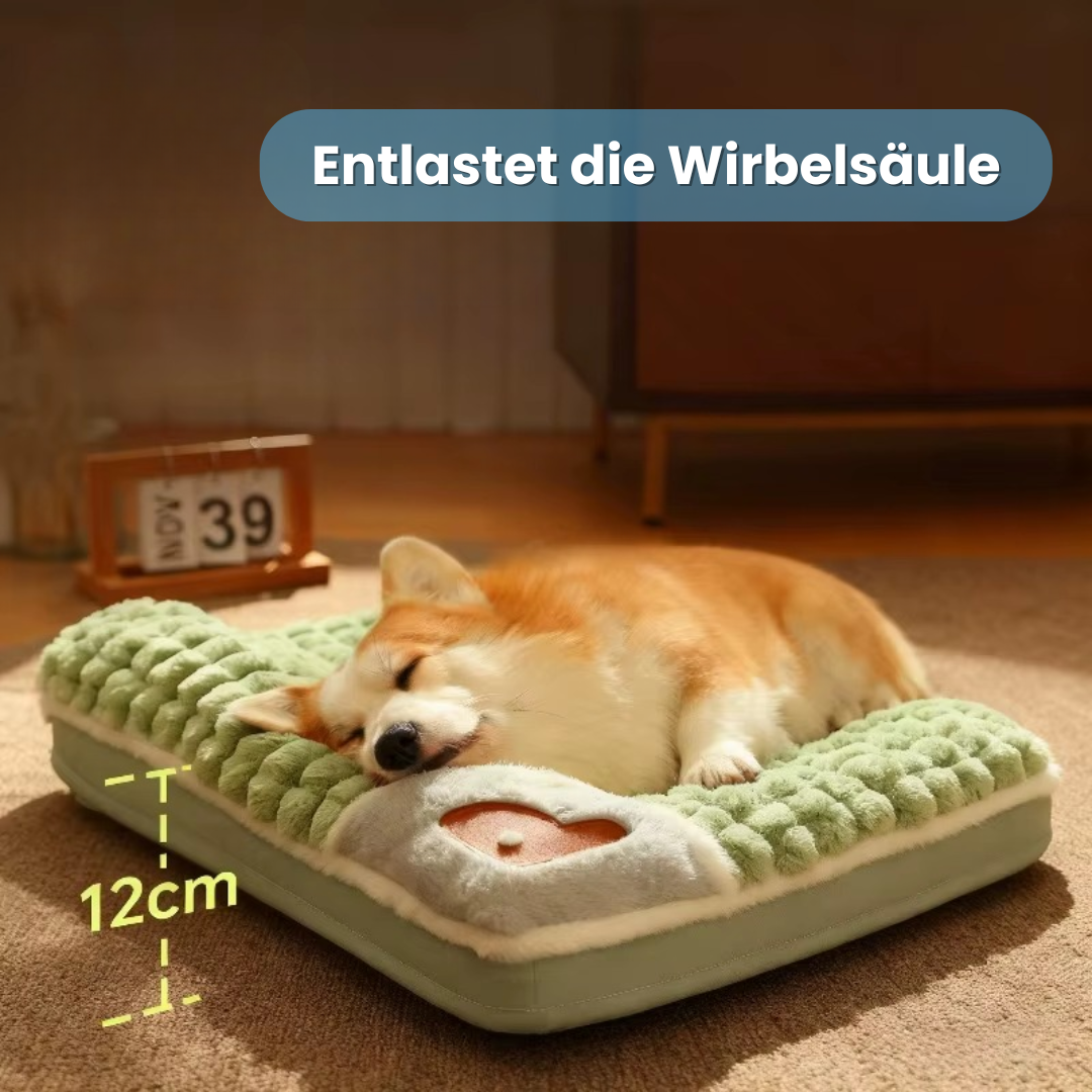 Dogtor Sleep | Orthopädisches Hundebett