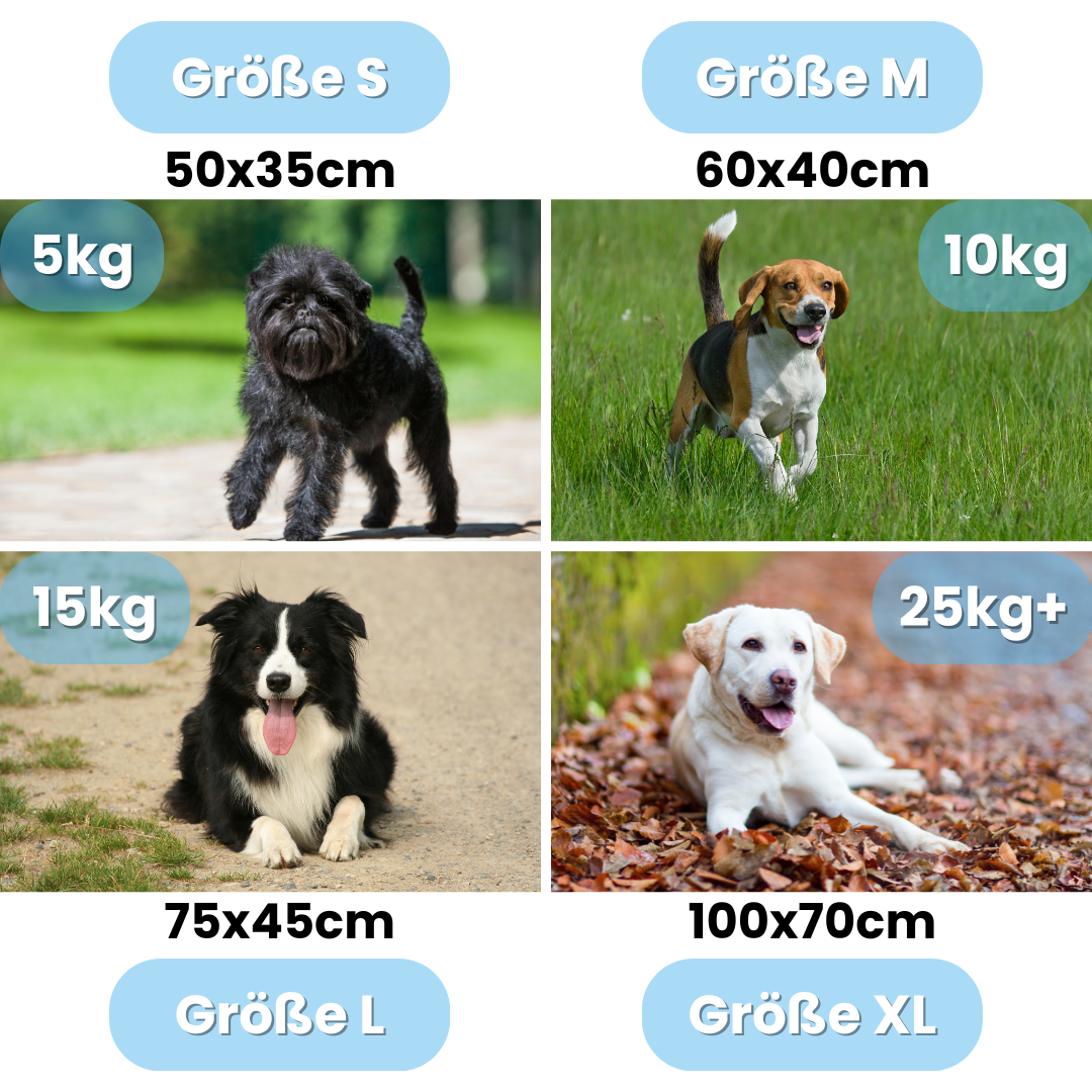 Dogtor Sleep | Orthopädisches Hundebett
